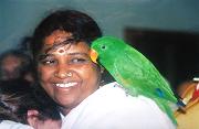 Фото Аммы с зелёным попугаем